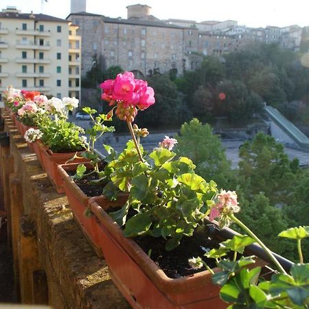 Alla Residenza Domus Minervae Perugia Zimmer foto